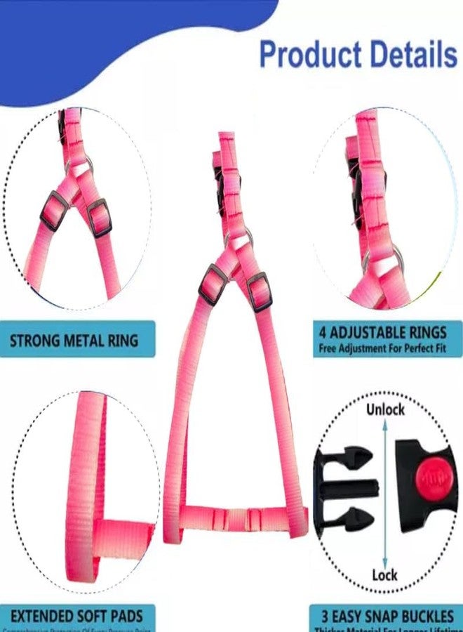 KittuPet طقم سرج ومقود للكلاب من KittuPet - سرج قابل للتعديل للكلاب بدون شد مع مقود بطول 3 أقدام - حلقة مزدوجة على شكل حرف D، سهل الارتداء - سهل المشي والجري والتدريب للكلاب من السلالات الكبيرة، متدرج من الأبيض إلى الوردي - Image 5